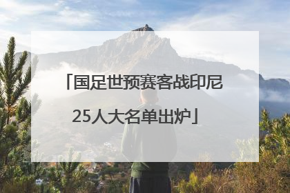 国足世预赛客战印尼25人大名单出炉