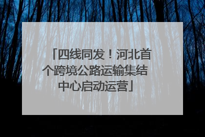 四线同发！河北首个跨境公路运输集结中心启动运营
