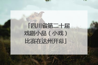 四川省第二十届戏剧小品（小戏）比赛在达州开幕