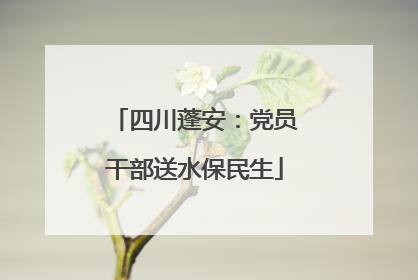 四川蓬安：党员干部送水保民生