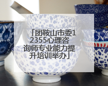 团鞍山市委12355心理咨询师专业能力提升培训举办