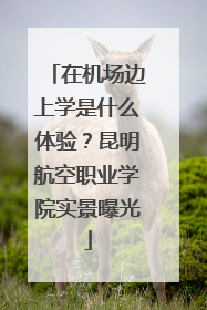 在机场边上学是什么体验？昆明航空职业学院实景曝光