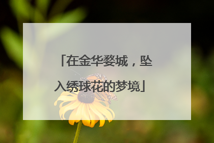 在金华婺城，坠入绣球花的梦境