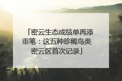 密云生态成绩单再添重笔：这五种珍稀鸟类密云区首次记录