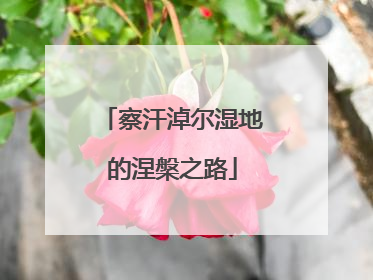 察汗淖尔湿地的涅槃之路