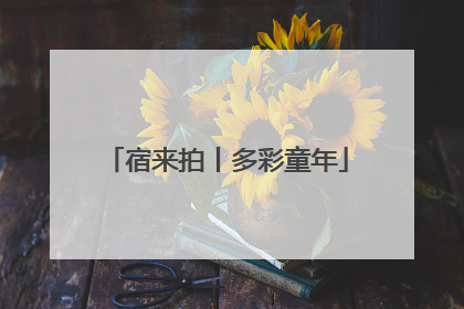 宿来拍丨多彩童年