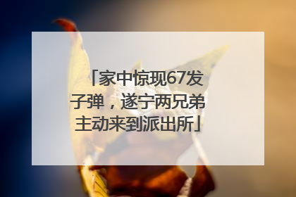 家中惊现67发子弹，遂宁两兄弟主动来到派出所