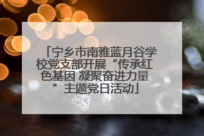 宁乡市南雅蓝月谷学校党支部开展“传承红色基因 凝聚奋进力量”主题党日活动