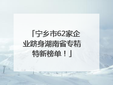 宁乡市62家企业跻身湖南省专精特新榜单！