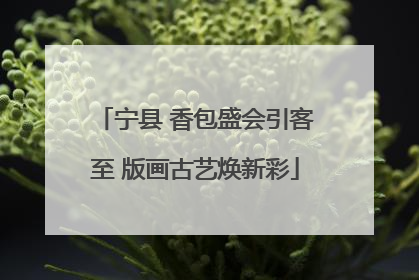 宁县 香包盛会引客至 版画古艺焕新彩