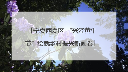 宁夏西夏区 “兴泾黄牛节”绘就乡村振兴新画卷