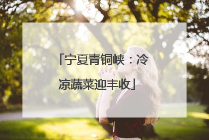 宁夏青铜峡：冷凉蔬菜迎丰收