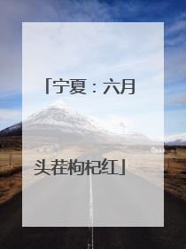 宁夏：六月头茬枸杞红