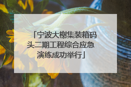 宁波大榭集装箱码头二期工程综合应急演练成功举行