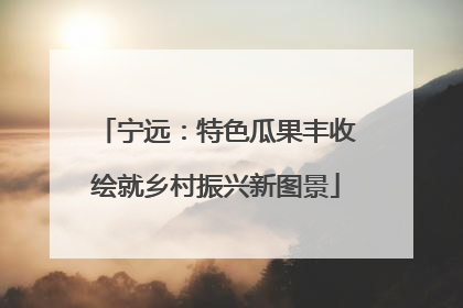 宁远：特色瓜果丰收绘就乡村振兴新图景