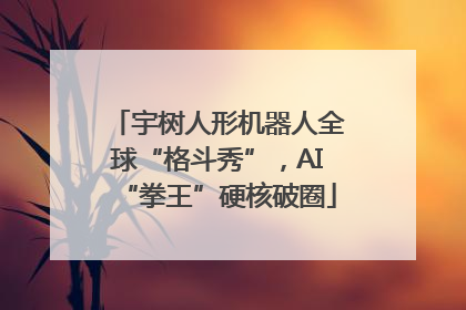 宇树人形机器人全球“格斗秀”，AI“拳王”硬核破圈