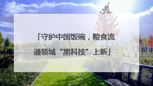 守护中国饭碗，粮食流通领域“黑科技”上新
