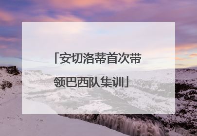 安切洛蒂首次带领巴西队集训