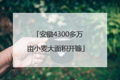 安徽4300多万亩小麦大面积开镰