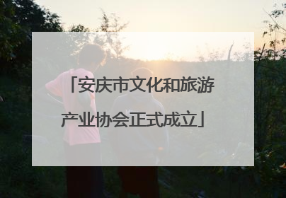 安庆市文化和旅游产业协会正式成立