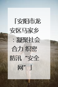 安阳市龙安区马家乡：凝聚社会合力 织密防汛“安全网”
