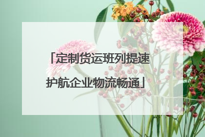 定制货运班列提速 护航企业物流畅通