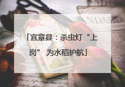 宜章县：杀虫灯“上岗” 为水稻护航