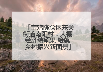宝鸡陈仓区东关街道南阳村：大棚经济结硕果 绘就乡村振兴新图景
