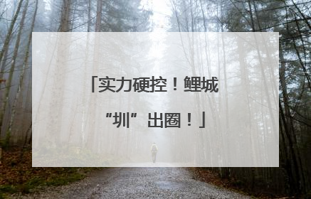 实力硬控！鲤城“圳”出圈！