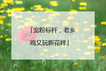 宠粉标杆，老乡鸡又玩新花样
