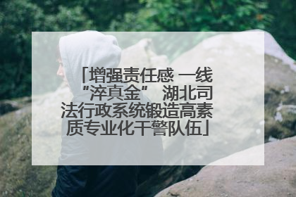 增强责任感 一线“淬真金” 湖北司法行政系统锻造高素质专业化干警队伍