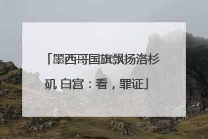 墨西哥国旗飘扬洛杉矶 白宫：看，罪证