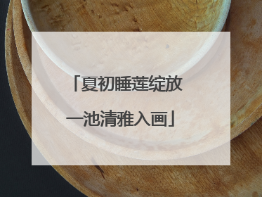夏初睡莲绽放 一池清雅入画