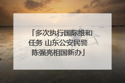 多次执行国际维和任务 山东公安民警陈强亮相国新办