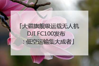 大疆旗舰级运载无人机DJI FC100发布：低空运输集大成者