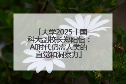 大学2025丨国科大副校长郑阳恒：AI时代仍需人类的直觉和洞察力