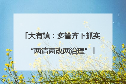 大有镇：多管齐下抓实“两清两改两治理”