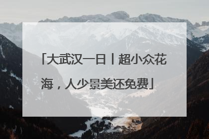 大武汉一日丨超小众花海，人少景美还免费