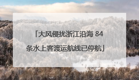大风侵扰浙江沿海 84条水上客渡运航线已停航
