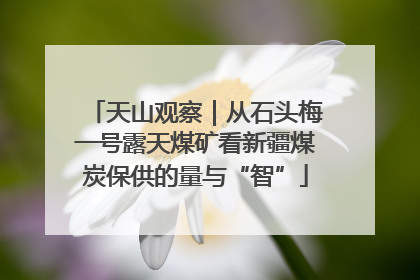 天山观察｜从石头梅一号露天煤矿看新疆煤炭保供的量与“智”