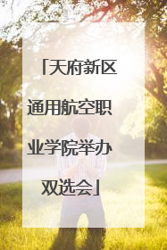 天府新区通用航空职业学院举办双选会