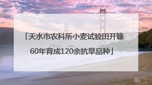 天水市农科所小麦试验田开镰 60年育成120余抗旱品种