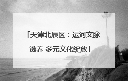 天津北辰区：运河文脉滋养 多元文化绽放