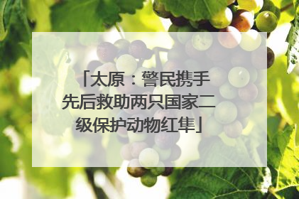 太原：警民携手 先后救助两只国家二级保护动物红隼
