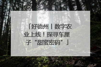 好德州丨数字农业上线！探寻车厘子“甜蜜密码”