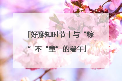 好豫知时节丨与“粽”不“童”的端午
