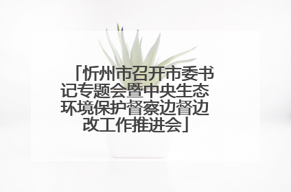 忻州市召开市委书记专题会暨中央生态环境保护督察边督边改工作推进会