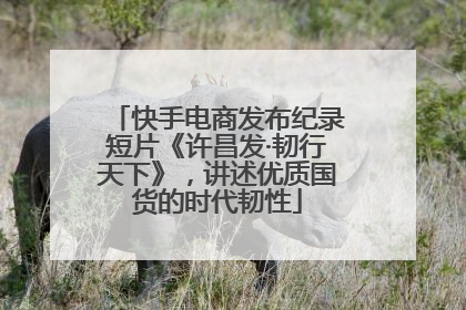 快手电商发布纪录短片《许昌发·韧行天下》，讲述优质国货的时代韧性