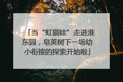 当“虹猫娃”走进淮东园，皂荚树下一场幼小衔接的探索开始啦