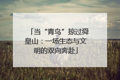 当“青鸟”掠过舜皇山：一场生态与文明的双向奔赴